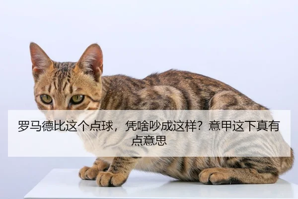 luo-ma-de-bi-zhe-ge-dian-qiu-ping-sha-chao-cheng-zhe-yang-yi-jia-zhe-xia-zhen-you-dian-yi-si-2-638.jpg